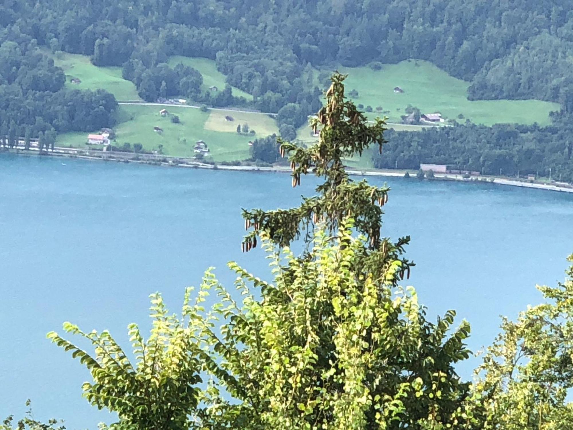 Wohnung Mit See Und Bergsicht Im Vier Sterne Hotel 베아텐베르크 외부 사진